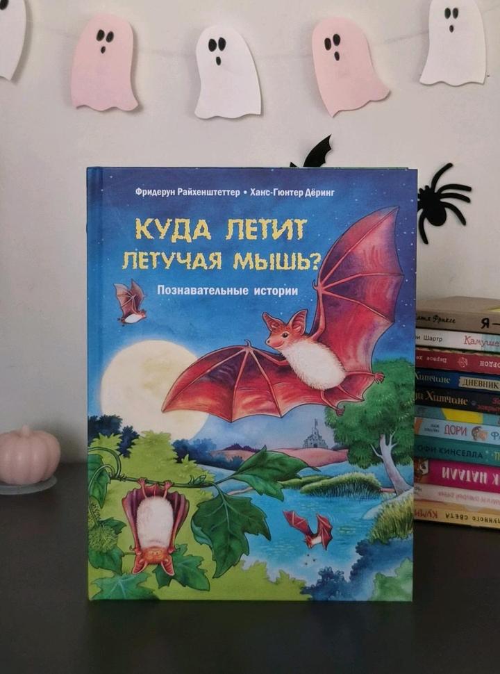 Книга Куда летит летучая мышь 🦇