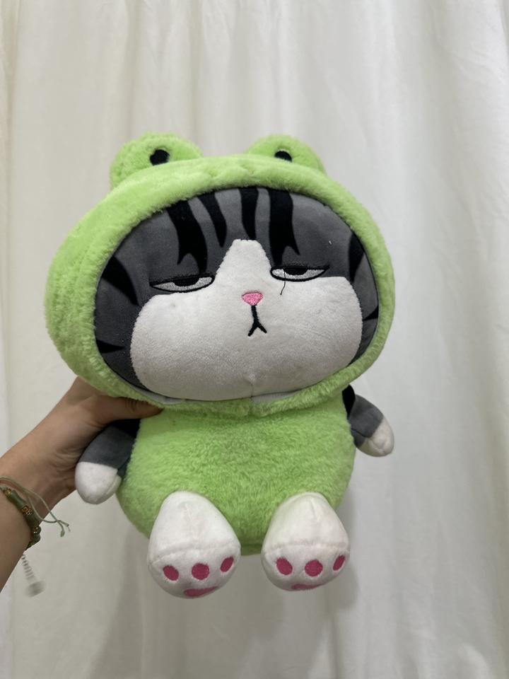 Мягкая игрушка кот в костюме лягушки