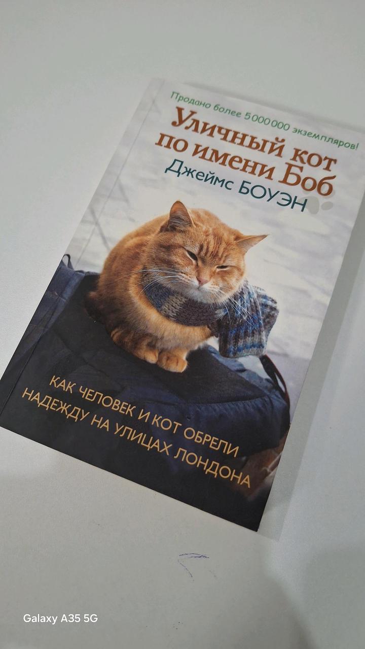 Уличный кот по имени Боб