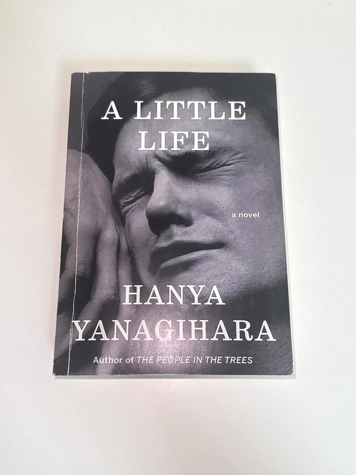 Книга A Little Life