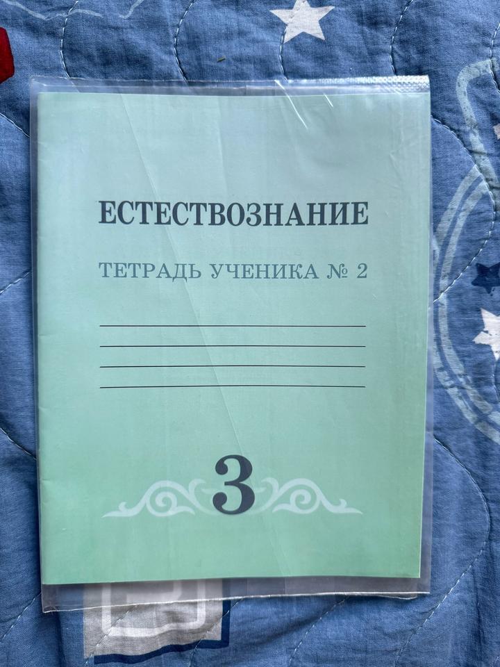 Естествознание. Тетрадь ученика № 2, 3 класс