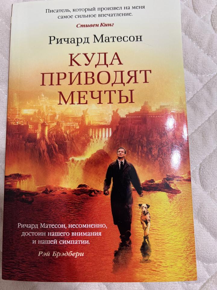 Куда приводят мечты