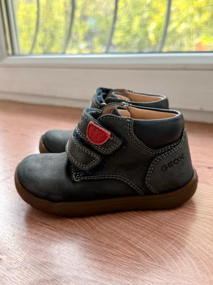 Ботинки Geox 22