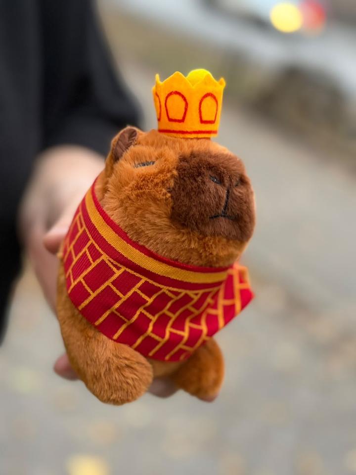 Капибара