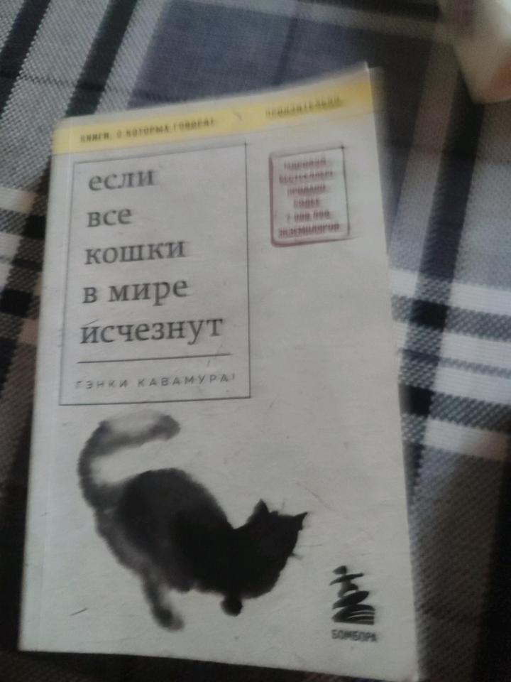 Книга если все кошки в мире исчезнут