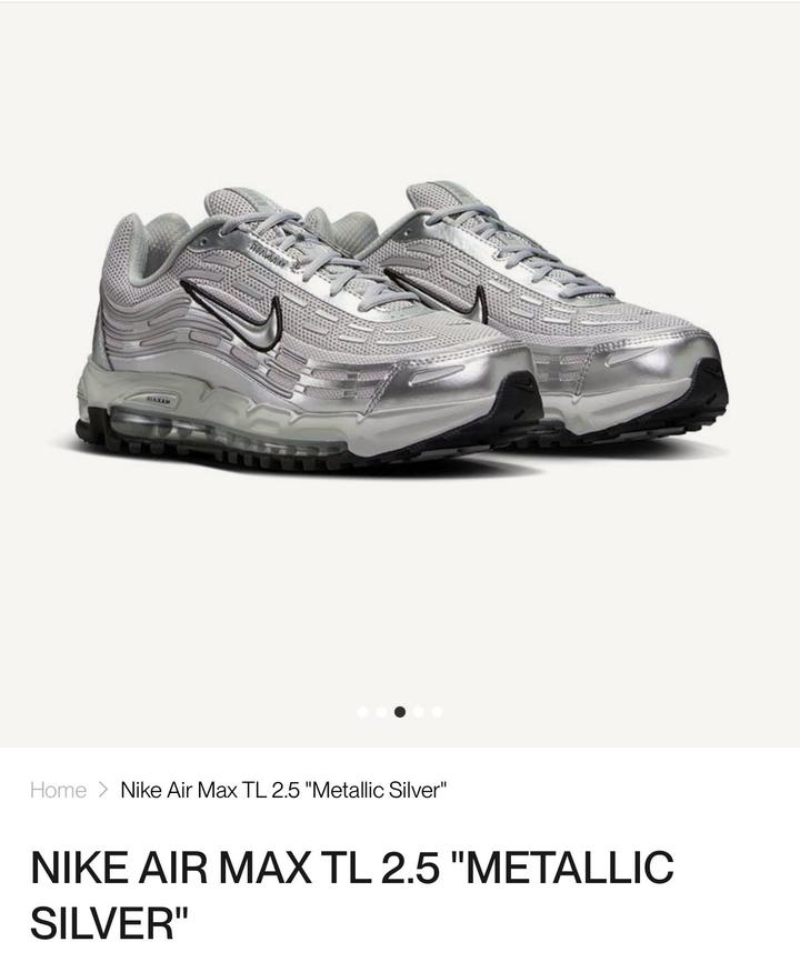 Кроссовки Nike Air Max TL 2.5