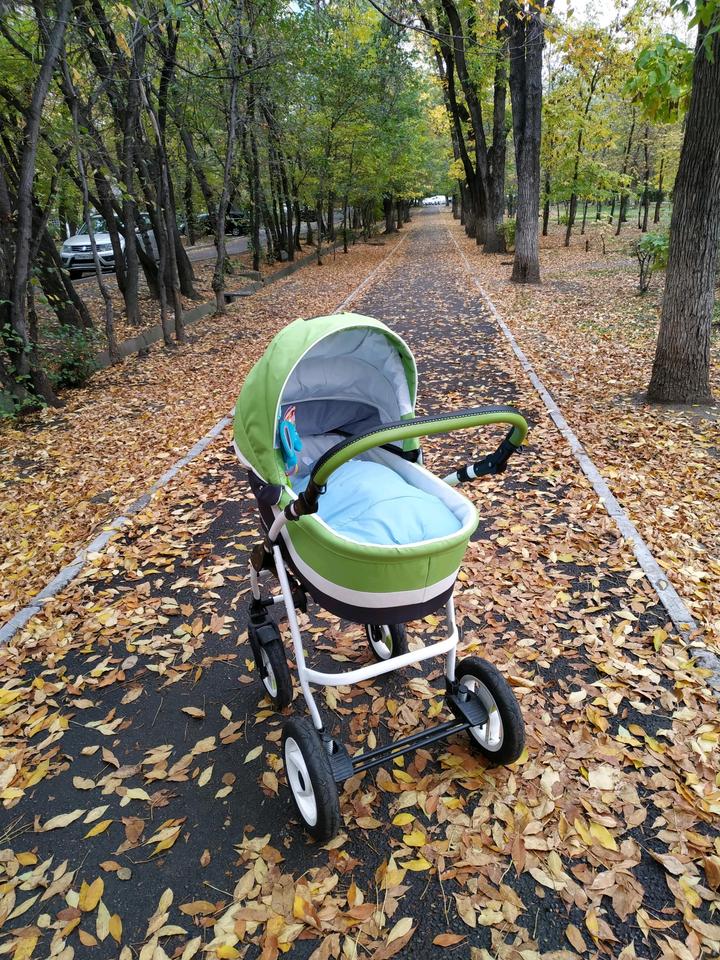 3 в 1 Verdi Babies Optima