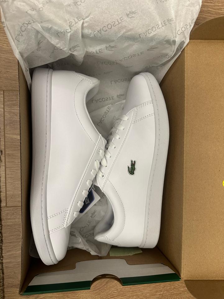 оригинальные кеды LACOSTE 🐊