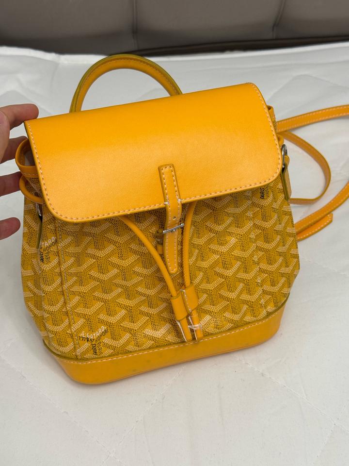 Сумка рюкзак goyard