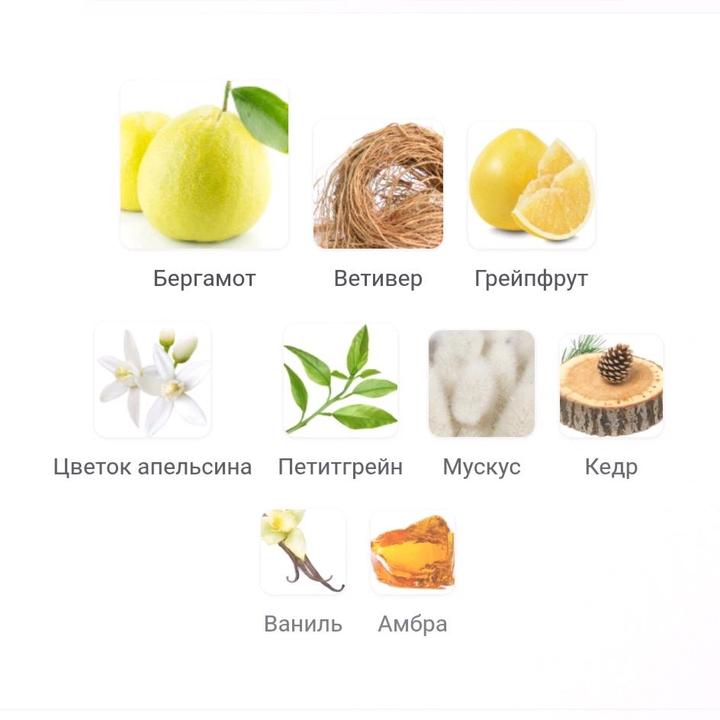 Bergamote 22 распив 5мл