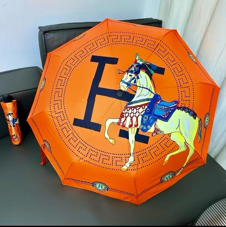Зонт Hermes