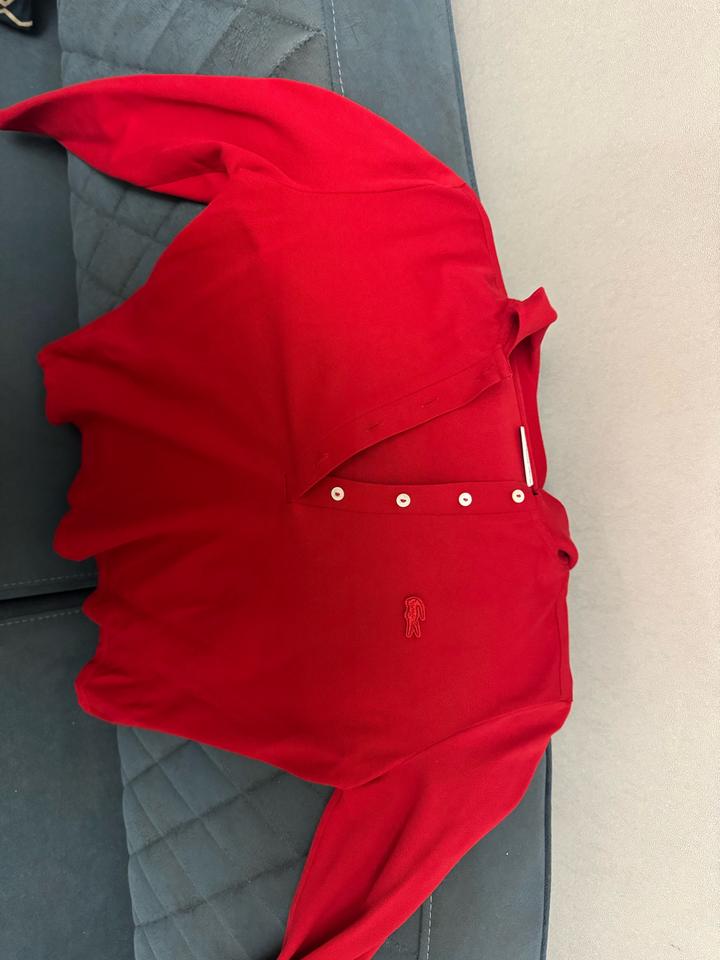 поло с длинными рукавами lacoste