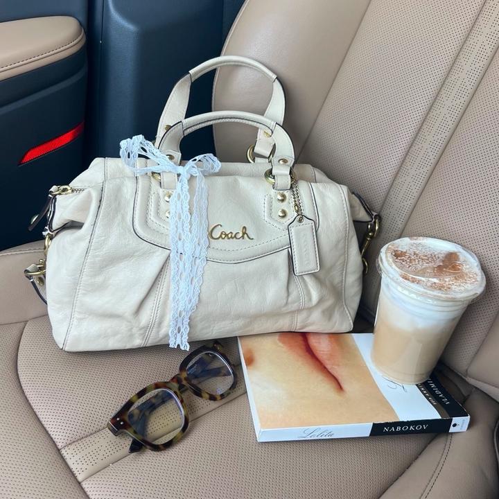 Сумка Coach Ashley Satchel