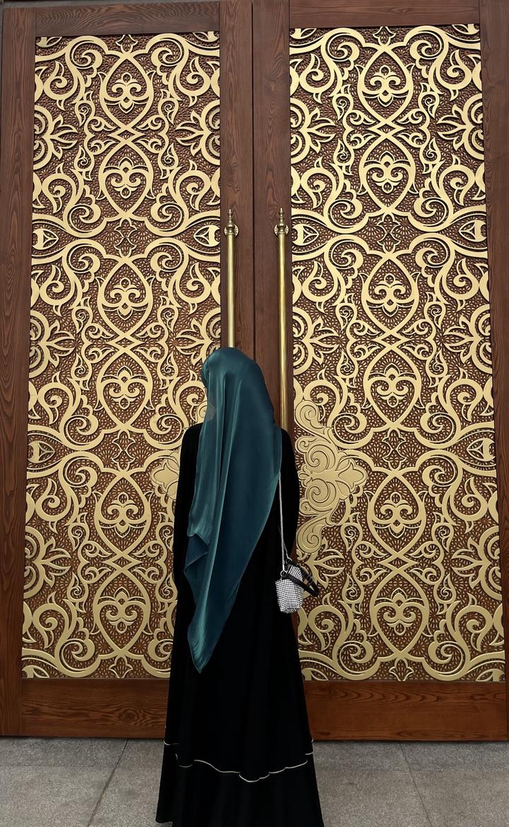 Корейская органза🫒