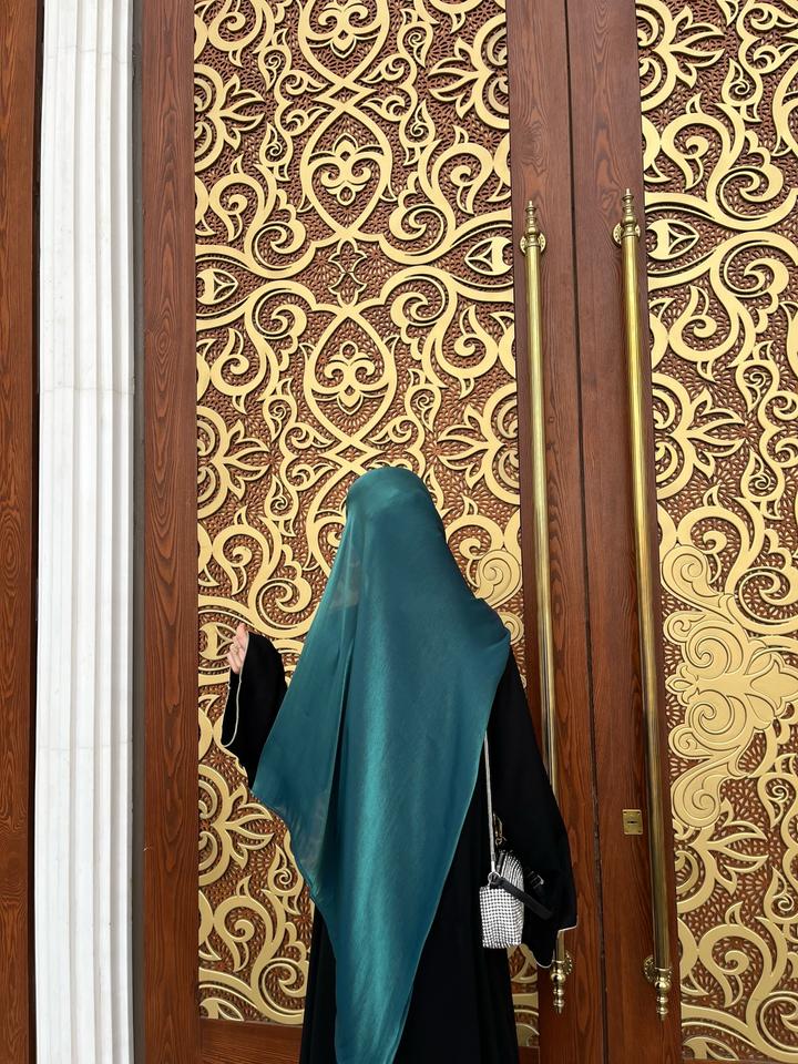 Корейская органза🫒