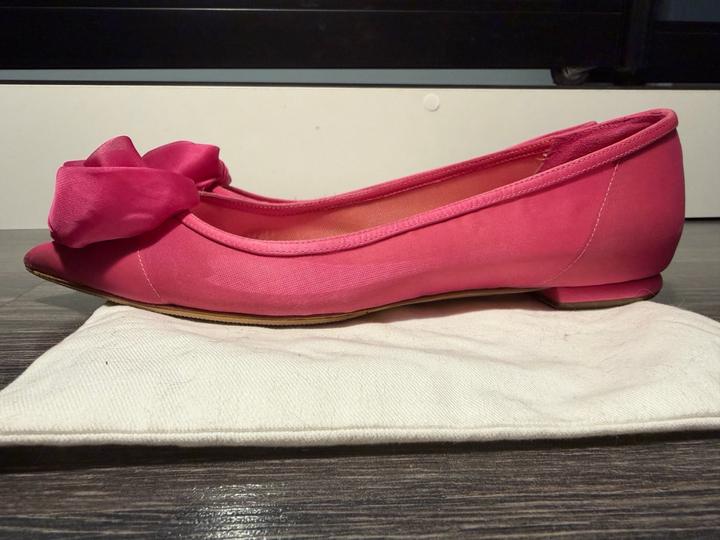 Балетки Dior