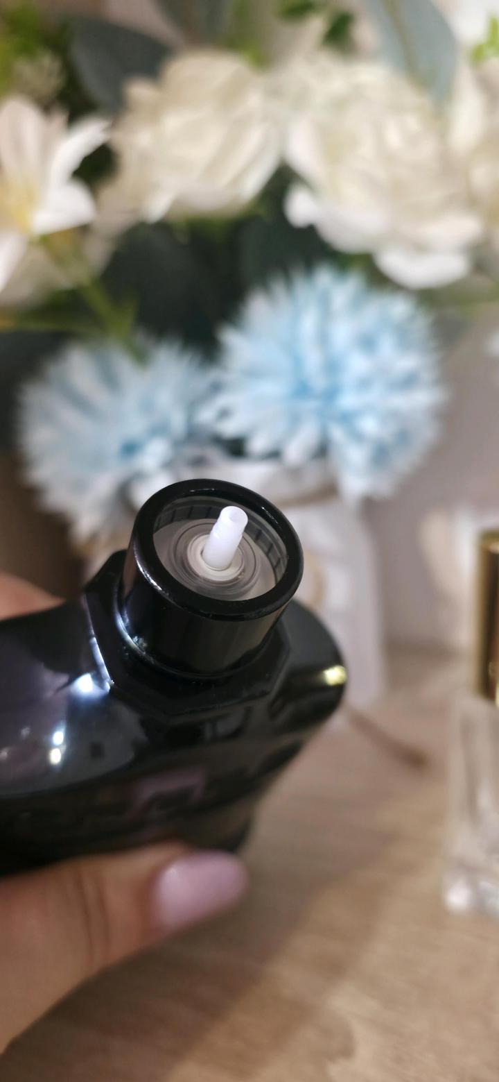 Absolu Aventus 2023 Creed