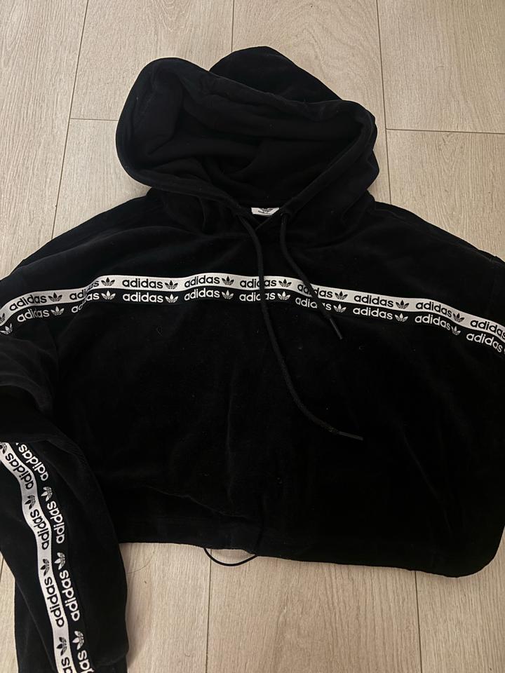 велюровый костюм adidas