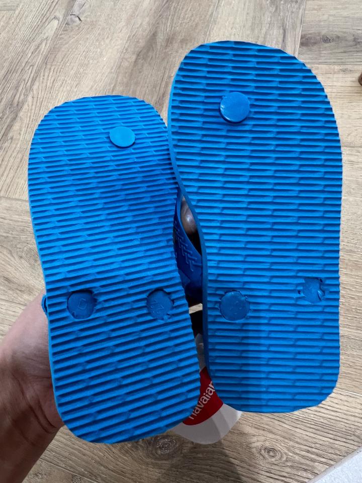 Сланцы havaianas