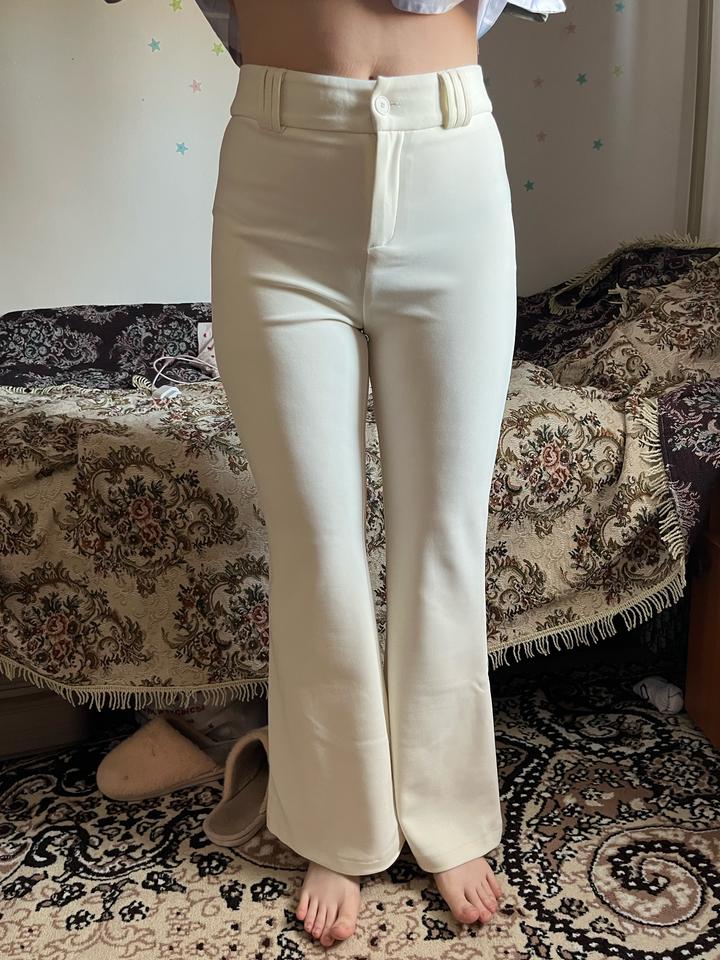 брюки классический