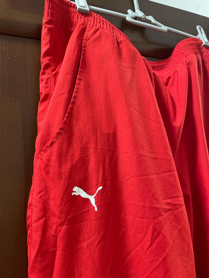 Спортивные брюки Puma