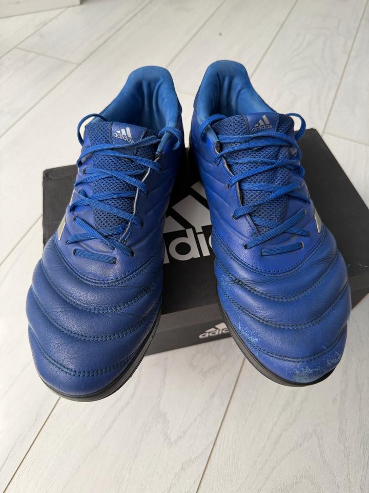 Сороконожки Adidas Copa 20.3 TF