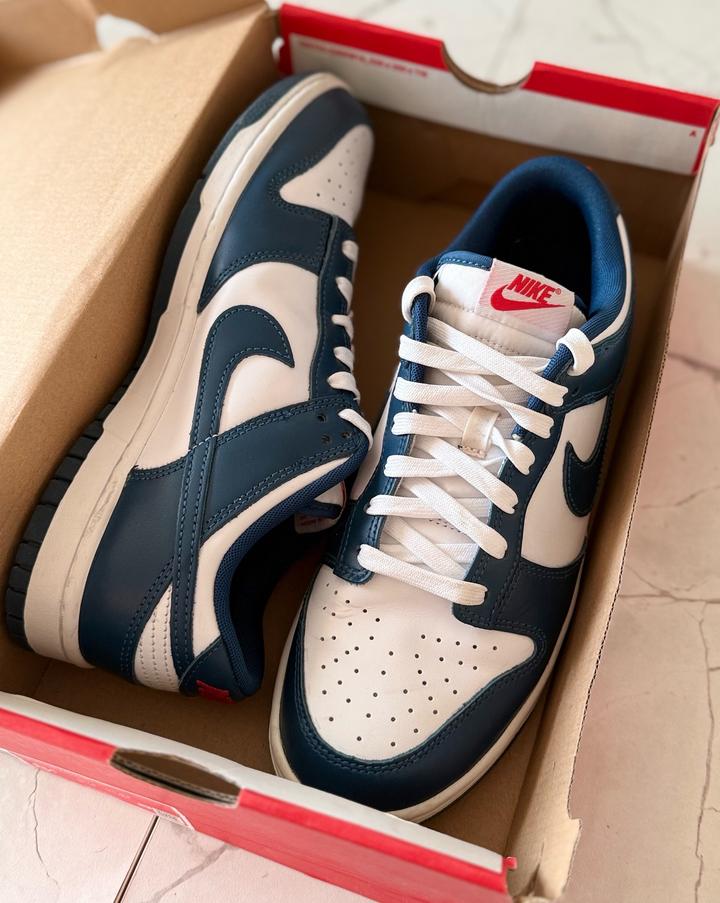 Кроссовки Nike Dunk Low Retro, Valerian blue