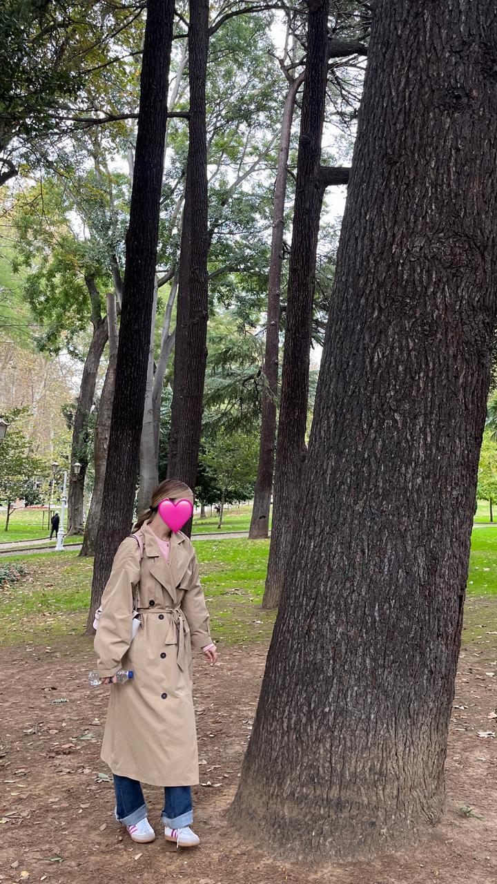 Тренч Massimo Dutti