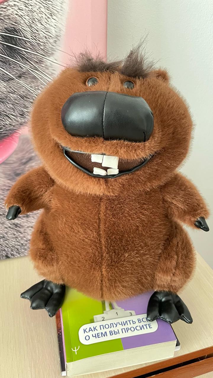 Бобер новый очень добрый