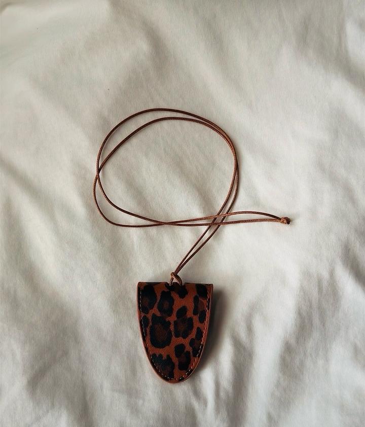 Зажим для очков