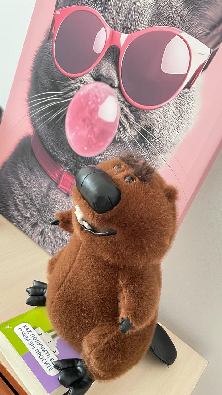 Бобер новый очень добрый