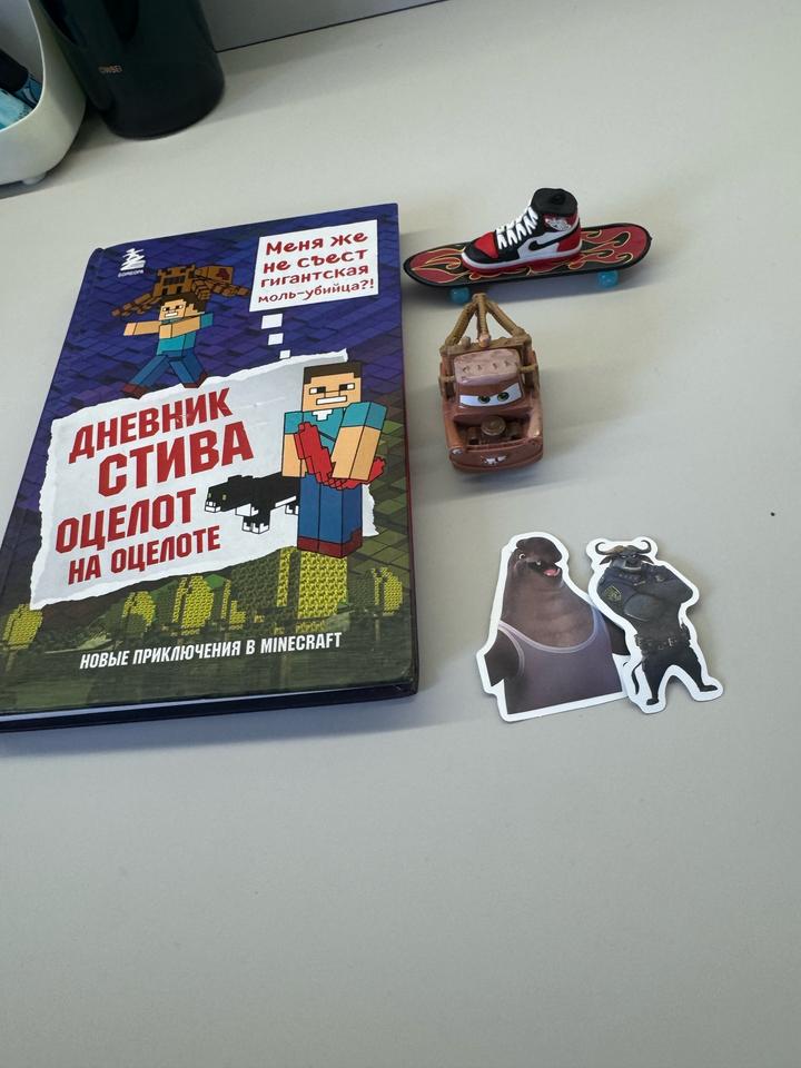 🎁 Дневник Стива + набор игрушек