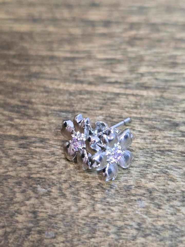 Сергьи серебро