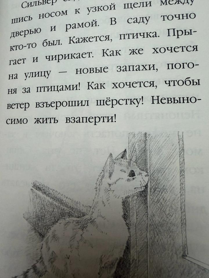 коллекция детских книг 🐱🐶🐱обложка в твердом переплете , крупный шрифт