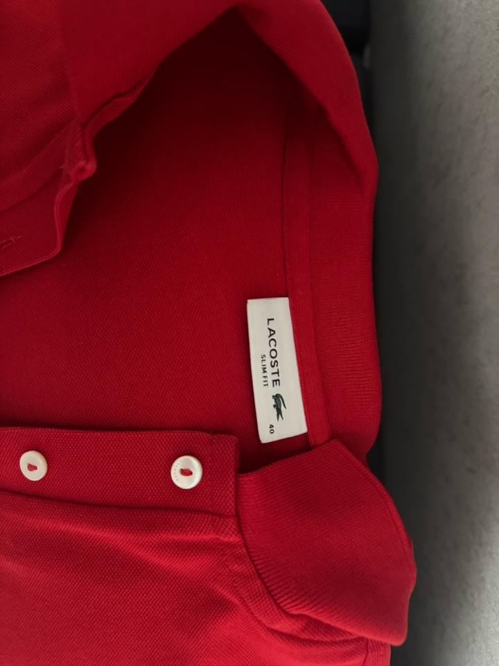 поло с длинными рукавами lacoste