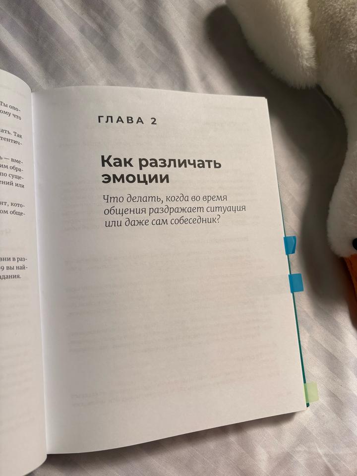2 книги (плюшевые игрушки в подарок)