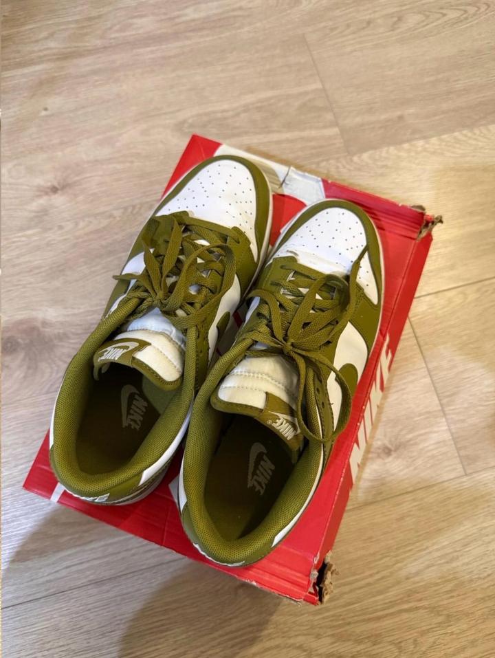 Nike Dunk Low Retro 44.5