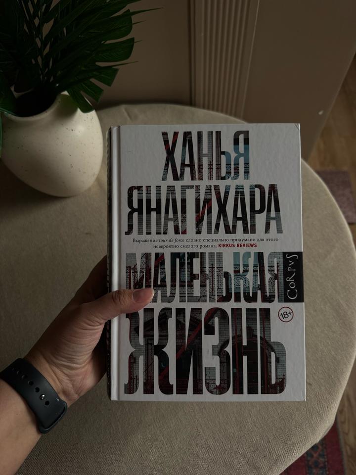 Книга «Маленькая жизнь»