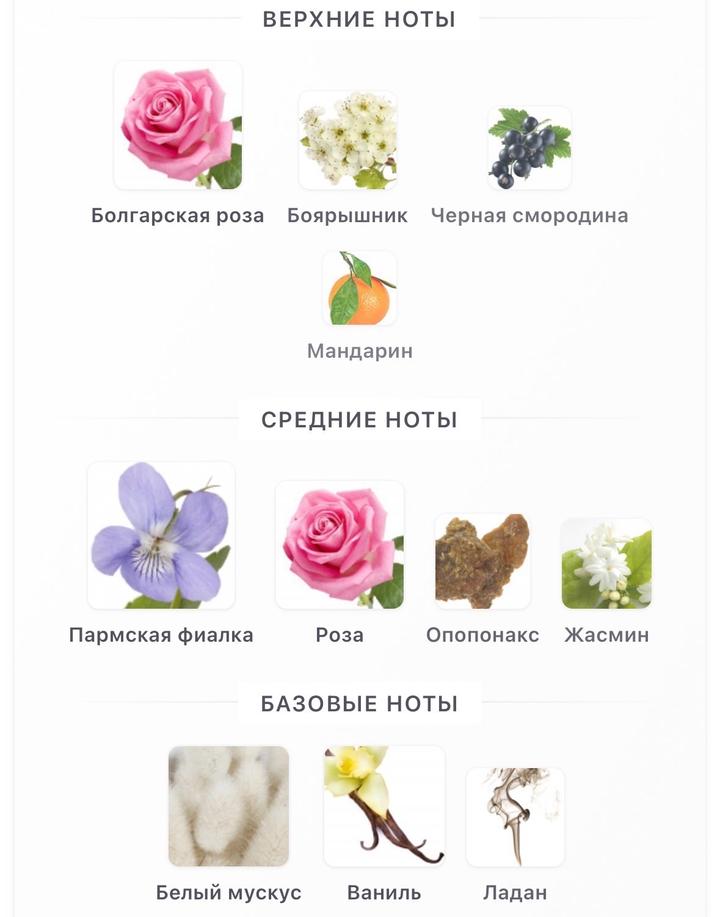 Аромат Kenzo