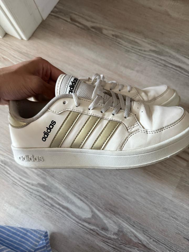 кеды Adidas