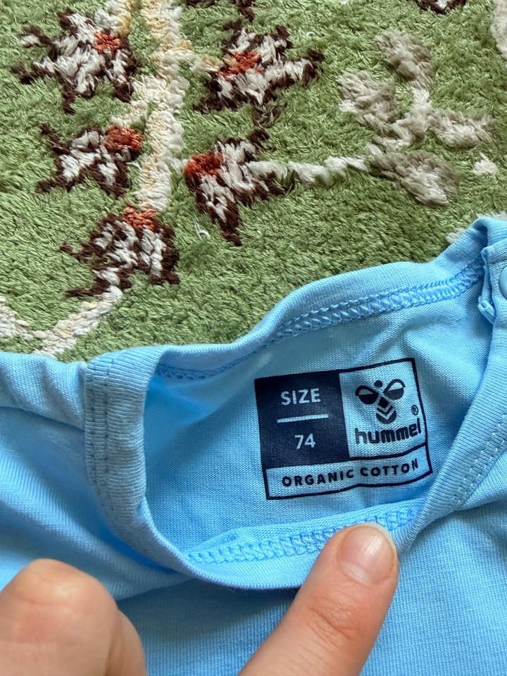 Боди Hummel