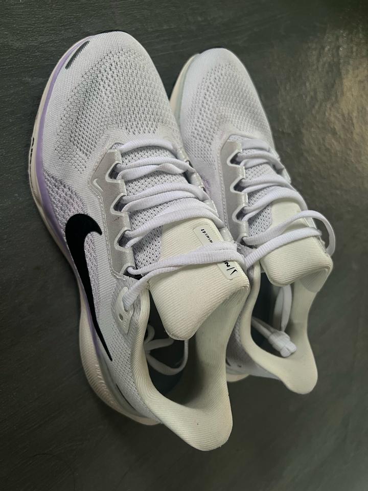 Кроссовки Nike Pegasus