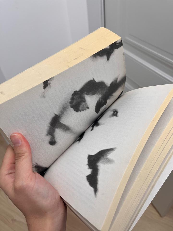 Книга Жутко громко & запредельно близко
