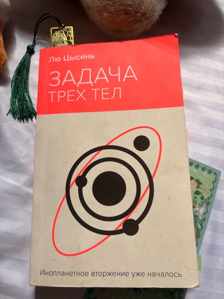 2 книги (плюшевые игрушки в подарок)