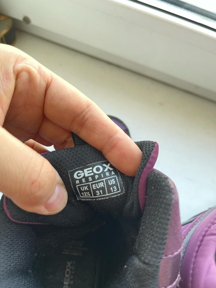 Зимние сапоги Geox