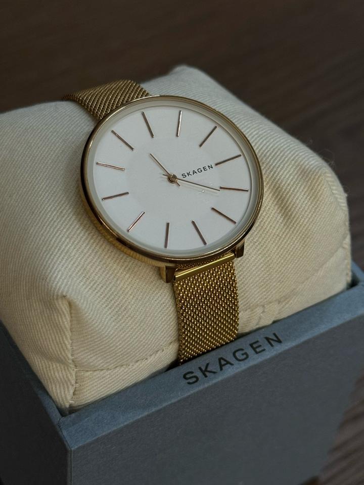 Часы Skagen