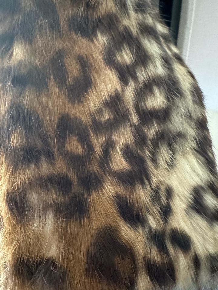 Шуба леопард