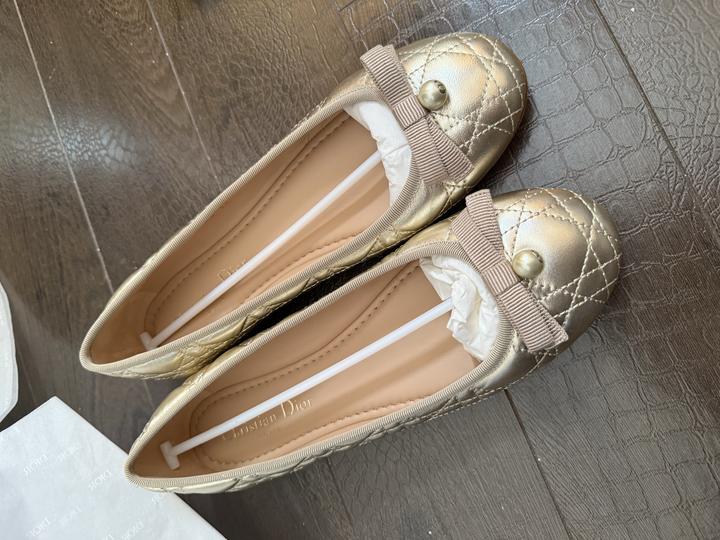 Балетки Dior