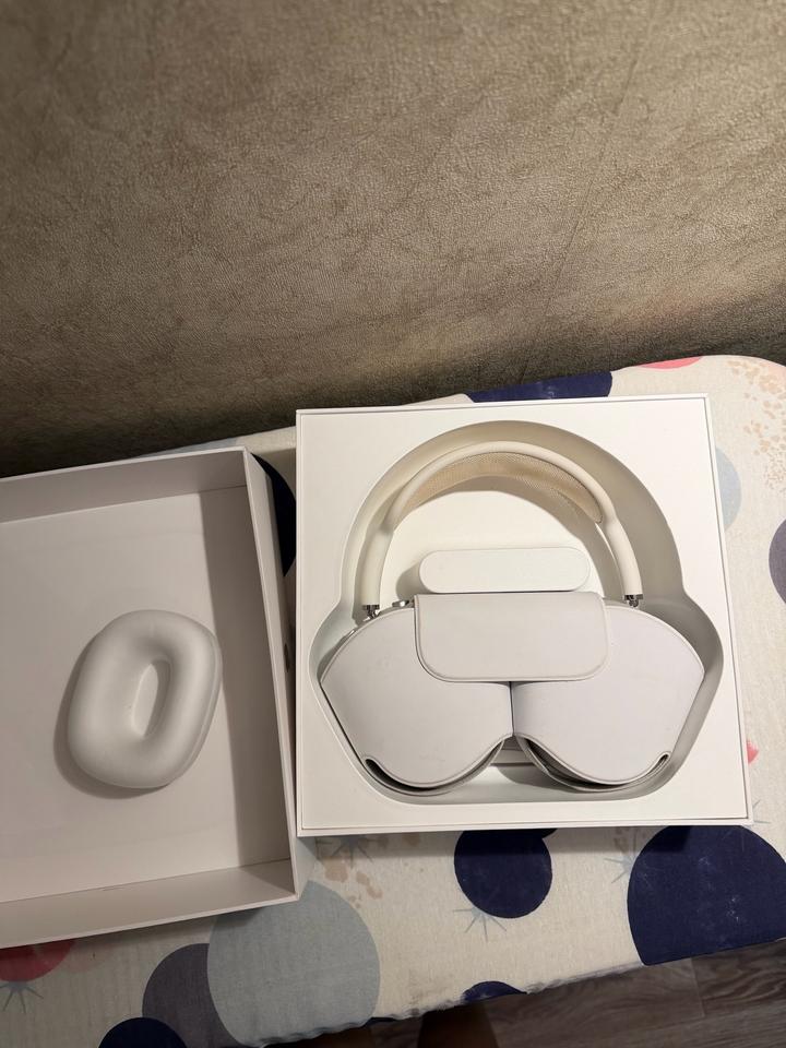 Air pods max