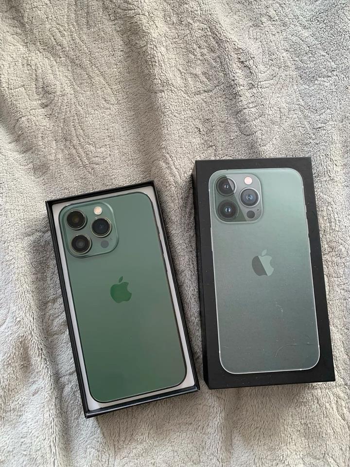 iPhone 13 Pro Max